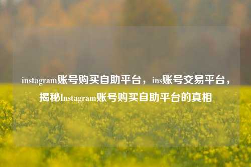 instagram账号购买自助平台，ins账号交易平台，揭秘Instagram账号购买自助平台的真相