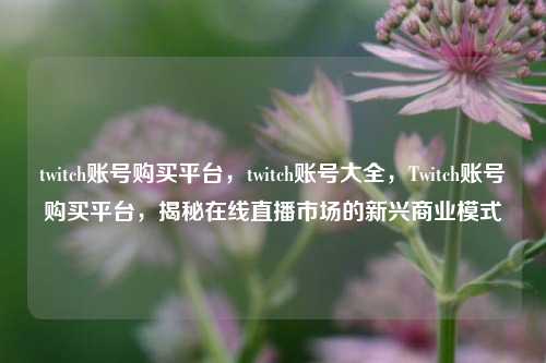 twitch账号购买平台，twitch账号大全，Twitch账号购买平台，揭秘在线直播市场的新兴商业模式