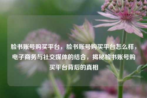 脸书账号购买平台，脸书账号购买平台怎么样，电子商务与社交媒体的结合，揭秘脸书账号购买平台背后的真相