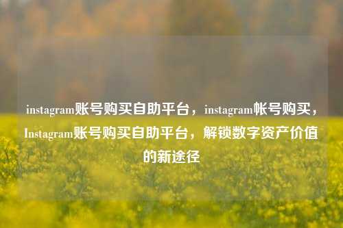 instagram账号购买自助平台，instagram帐号购买，Instagram账号购买自助平台，解锁数字资产价值的新途径
