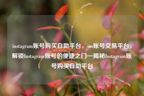 instagram账号购买自助平台，ins账号交易平台，解锁Instagram账号的便捷之门—揭秘Instagram账号购买自助平台