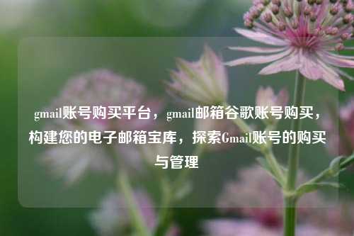 gmail账号购买平台，gmail邮箱谷歌账号购买，构建您的电子邮箱宝库，探索Gmail账号的购买与管理