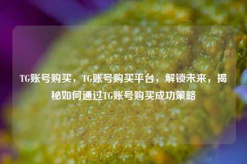 TG账号购买，TG账号购买平台，解锁未来，揭秘如何通过TG账号购买成功策略