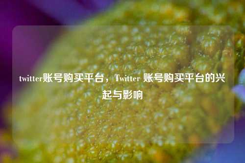 twitter账号购买平台，Twitter 账号购买平台的兴起与影响