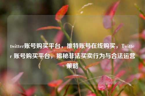 twitter账号购买平台，推特账号在线购买，Twitter 账号购买平台，揭秘非法买卖行为与合法运营策略