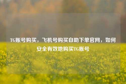 TG账号购买，飞机号购买自助下单官网，如何安全有效地购买TG账号