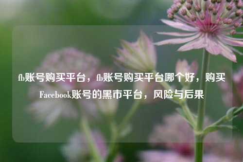 fb账号购买平台，fb账号购买平台哪个好，购买Facebook账号的黑市平台，风险与后果