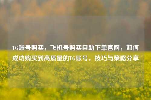 TG账号购买，飞机号购买自助下单官网，如何成功购买到高质量的TG账号，技巧与策略分享