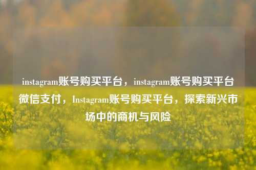instagram账号购买平台，instagram账号购买平台微信支付，Instagram账号购买平台，探索新兴市场中的商机与风险