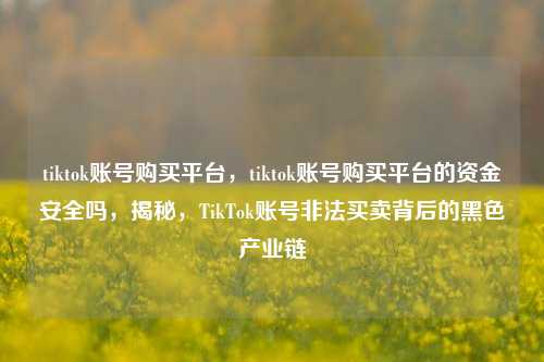 tiktok账号购买平台，tiktok账号购买平台的资金安全吗，揭秘，TikTok账号非法买卖背后的黑色产业链