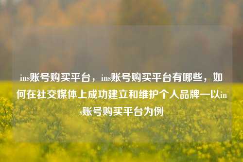 ins账号购买平台，ins账号购买平台有哪些，如何在社交媒体上成功建立和维护个人品牌—以ins账号购买平台为例