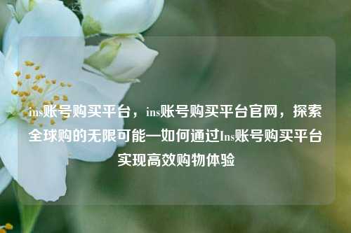 ins账号购买平台，ins账号购买平台官网，探索全球购的无限可能—如何通过Ins账号购买平台实现高效购物体验