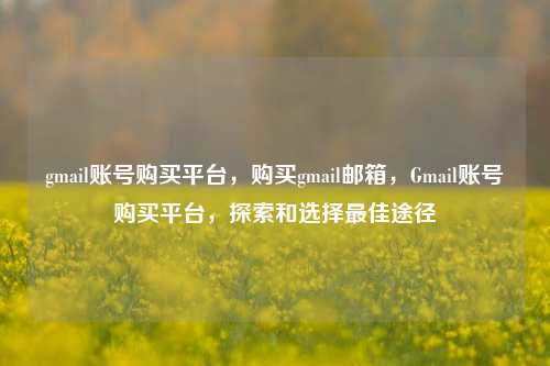 gmail账号购买平台，购买gmail邮箱，Gmail账号购买平台，探索和选择最佳途径