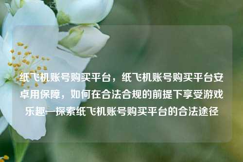 纸飞机账号购买平台，纸飞机账号购买平台安卓用保障，如何在合法合规的前提下享受游戏乐趣—探索纸飞机账号购买平台的合法途径