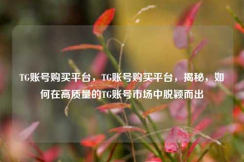 TG账号购买平台，TG账号购买平台，揭秘，如何在高质量的TG账号市场中脱颖而出
