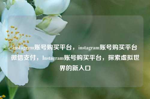 instagram账号购买平台，instagram账号购买平台微信支付，Instagram账号购买平台，探索虚拟世界的新入口