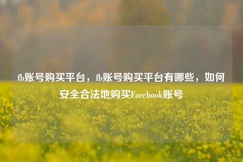 fb账号购买平台，fb账号购买平台有哪些，如何安全合法地购买Facebook账号