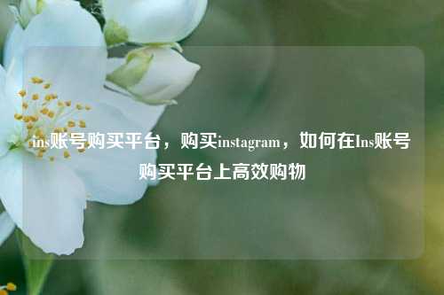 ins账号购买平台，购买instagram，如何在Ins账号购买平台上高效购物