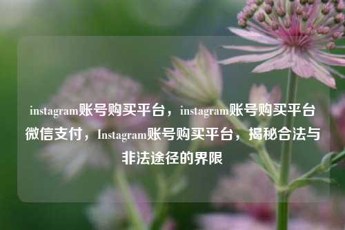 instagram账号购买平台，instagram账号购买平台微信支付，Instagram账号购买平台，揭秘合法与非法途径的界限