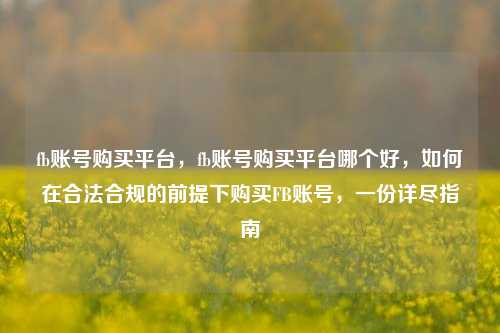 fb账号购买平台，fb账号购买平台哪个好，如何在合法合规的前提下购买FB账号，一份详尽指南