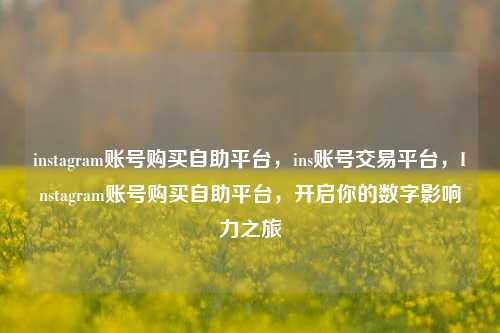 instagram账号购买自助平台，ins账号交易平台，Instagram账号购买自助平台，开启你的数字影响力之旅