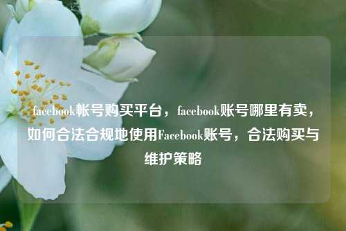 facebook帐号购买平台，facebook账号哪里有卖，如何合法合规地使用Facebook账号，合法购买与维护策略