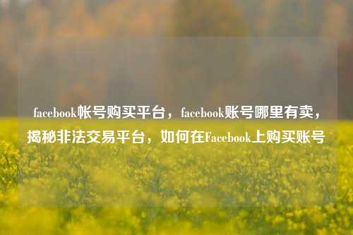 facebook帐号购买平台，facebook账号哪里有卖，揭秘非法交易平台，如何在Facebook上购买账号