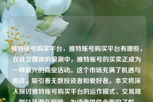 推特账号购买平台，推特账号购买平台有哪些	，在社交媒体的浪潮中，推特账号的买卖正成为一种新兴的商业活动。这个市场充满了机遇与挑战，吸引着无数投资者和爱好者。本文将深入探讨推特账号购买平台的运作模式、交易规则以及潜在风险	，为读者提供全面的了解  第1张