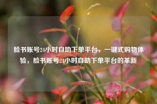 脸书账号24小时自助下单平台，一键式购物体验，脸书账号24小时自助下单平台的革新