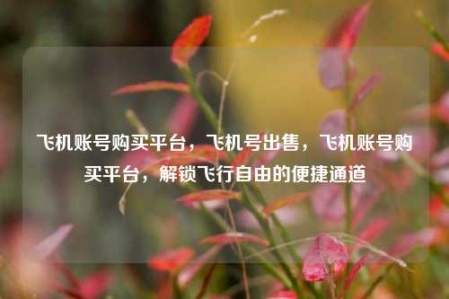 飞机账号购买平台，飞机号出售，飞机账号购买平台，解锁飞行自由的便捷通道
