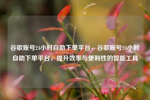 谷歌账号24小时自助下单平台，谷歌账号24小时自助下单平台，提升效率与便利性的智能工具