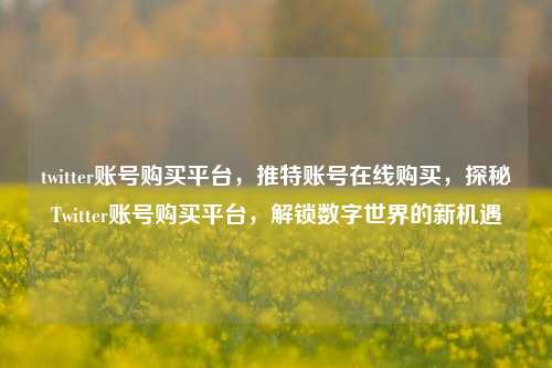 twitter账号购买平台，推特账号在线购买，探秘Twitter账号购买平台，解锁数字世界的新机遇