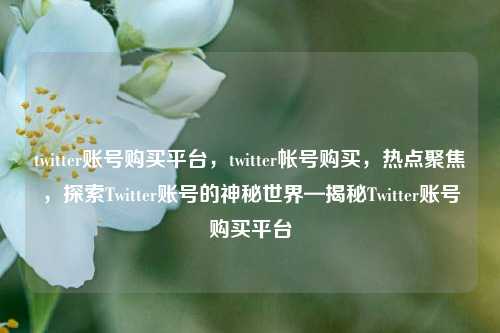 twitter账号购买平台，twitter帐号购买，热点聚焦，探索Twitter账号的神秘世界—揭秘Twitter账号购买平台