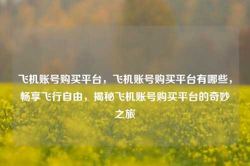 飞机账号购买平台，飞机账号购买平台有哪些，畅享飞行自由，揭秘飞机账号购买平台的奇妙之旅