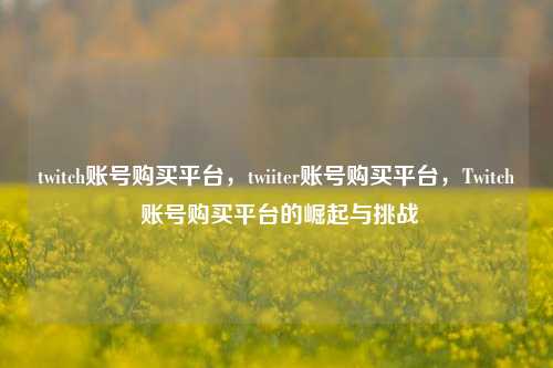 twitch账号购买平台，twiiter账号购买平台，Twitch 账号购买平台的崛起与挑战