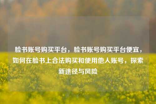 脸书账号购买平台，脸书账号购买平台便宜，如何在脸书上合法购买和使用他人账号，探索新途径与风险