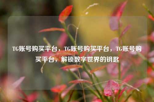 TG账号购买平台，TG账号购买平台，TG账号购买平台，解锁数字世界的钥匙