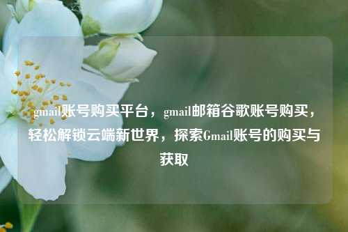 gmail账号购买平台，gmail邮箱谷歌账号购买，轻松解锁云端新世界，探索Gmail账号的购买与获取