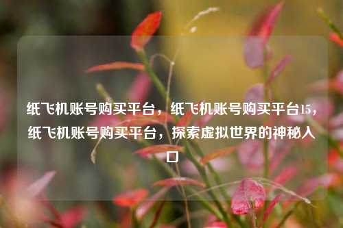 纸飞机账号购买平台，纸飞机账号购买平台15	，纸飞机账号购买平台，探索虚拟世界的神秘入口  第1张