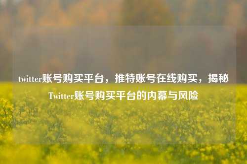 twitter账号购买平台，推特账号在线购买，揭秘Twitter账号购买平台的内幕与风险