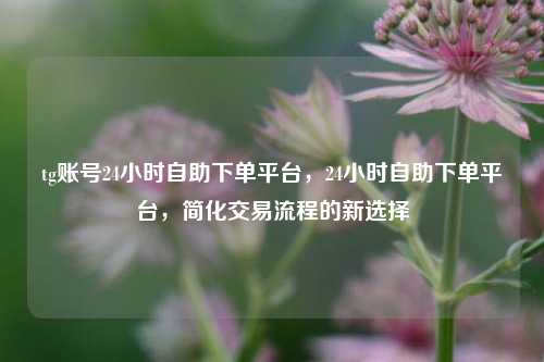 tg账号24小时自助下单平台，24小时自助下单平台，简化交易流程的新选择