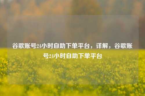 谷歌账号24小时自助下单平台，详解，谷歌账号24小时自助下单平台