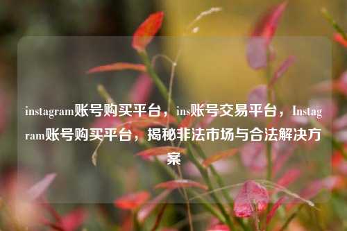 instagram账号购买平台，ins账号交易平台，Instagram账号购买平台，揭秘非法市场与合法解决方案