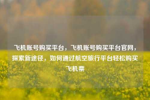飞机账号购买平台，飞机账号购买平台官网，探索新途径，如何通过航空旅行平台轻松购买飞机票
