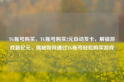 TG账号购买，TG账号购买2元自动发卡，解锁游戏新纪元，揭秘如何通过TG账号轻松购买游戏