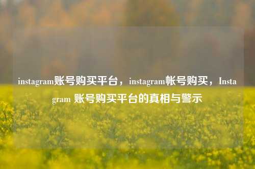 instagram账号购买平台，instagram帐号购买，Instagram 账号购买平台的真相与警示