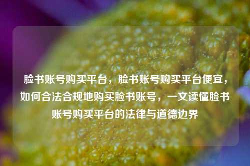 脸书账号购买平台，脸书账号购买平台便宜，如何合法合规地购买脸书账号，一文读懂脸书账号购买平台的法律与道德边界