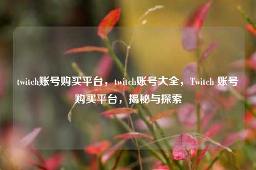 twitch账号购买平台，twitch账号大全，Twitch 账号购买平台，揭秘与探索