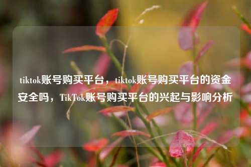 tiktok账号购买平台，tiktok账号购买平台的资金安全吗，TikTok账号购买平台的兴起与影响分析