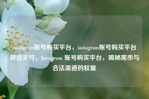 instagram账号购买平台，instagram账号购买平台微信支付，Instagram 账号购买平台，揭秘黑市与合法渠道的较量